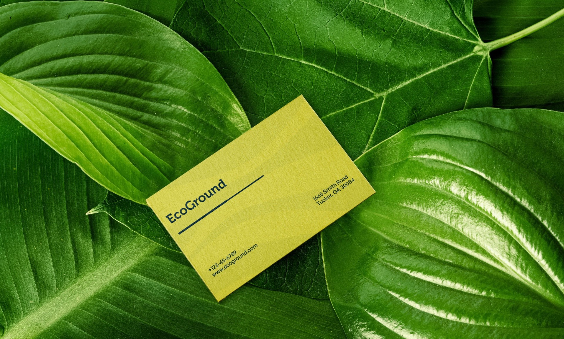A yellow business card resting on large green leaves