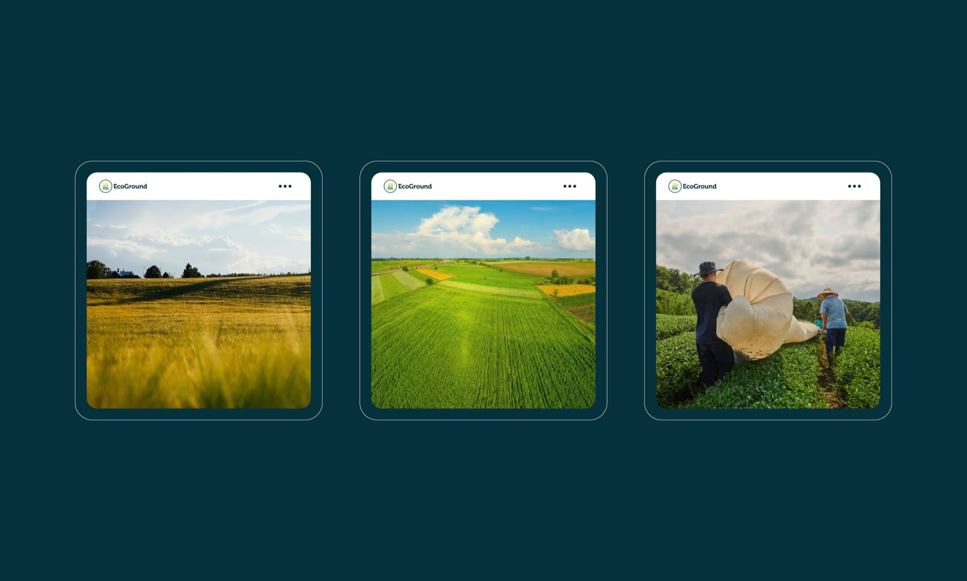 Three social posts of wheat fields and farmers on teal