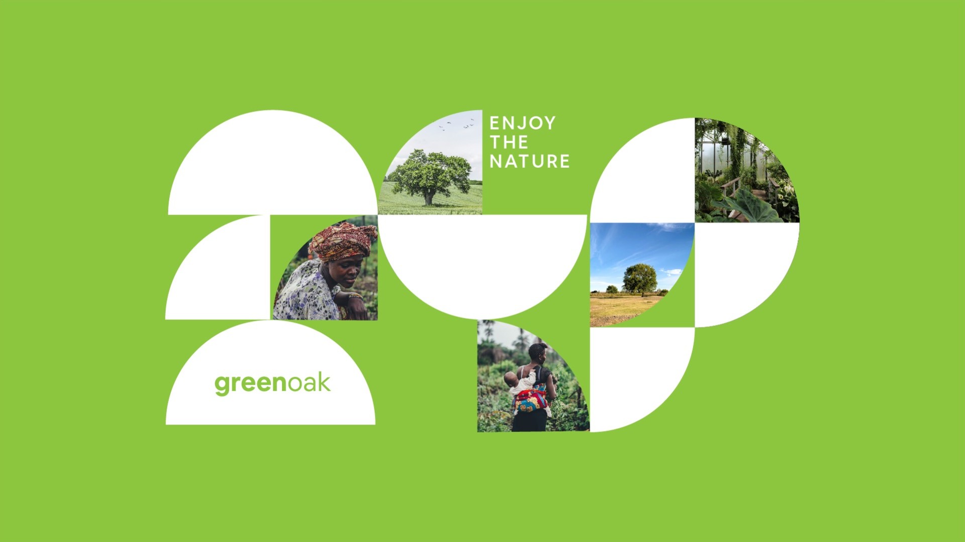Pattern of half circles and quarter circles filled with nature photos on leaf green