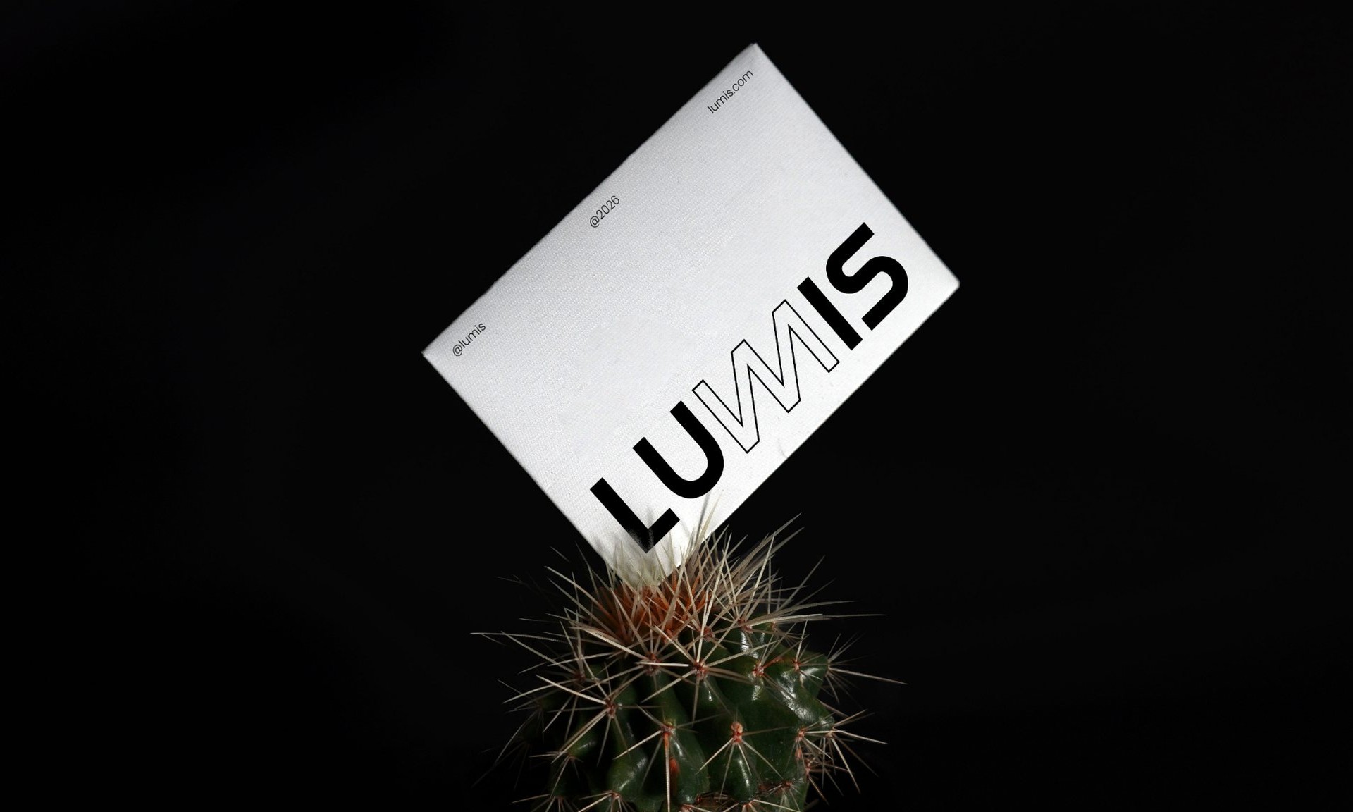 A white Lumis card balanced on a cactus against black