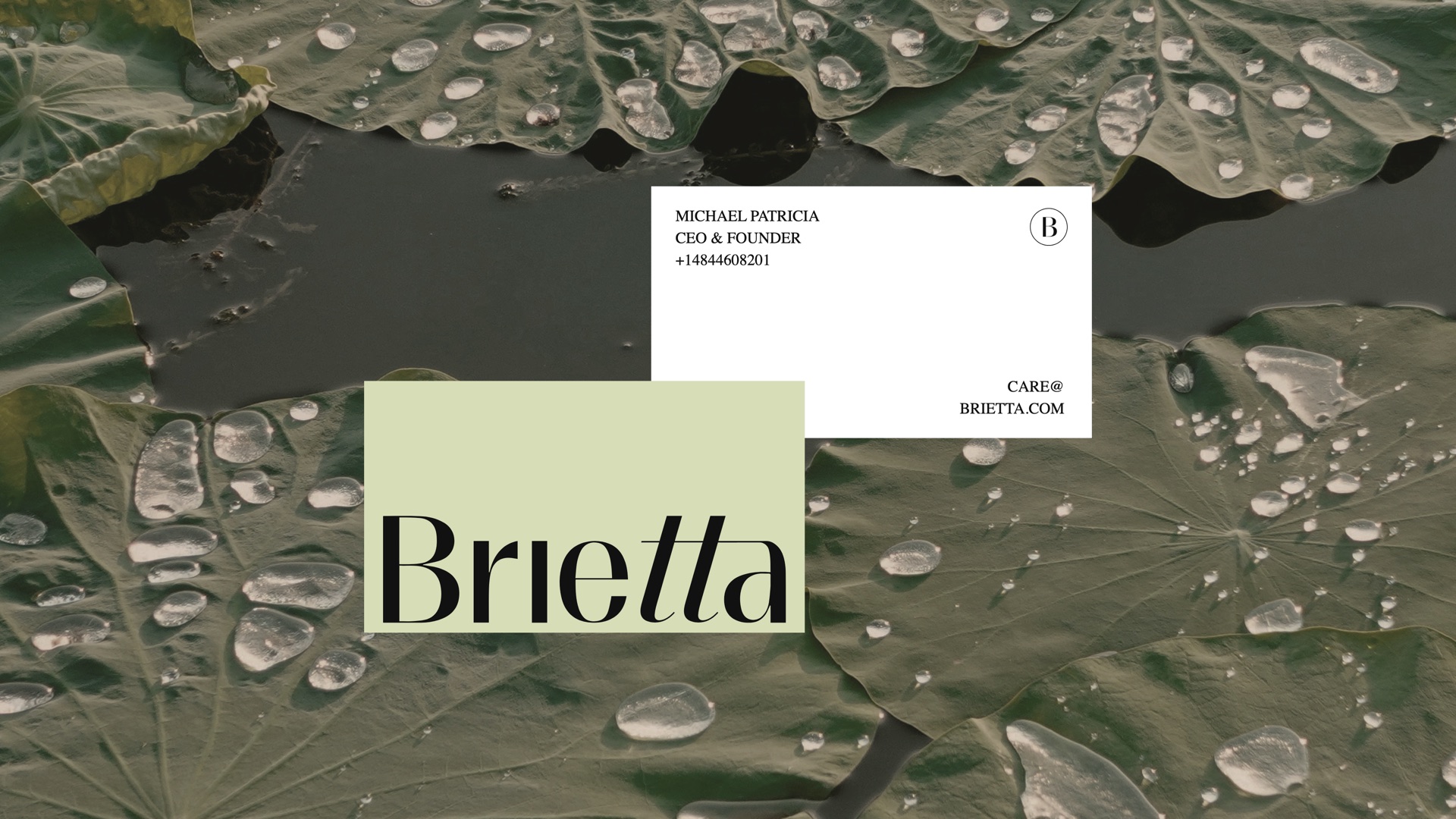 Sage and white business cards resting on a leaf covered in water drops