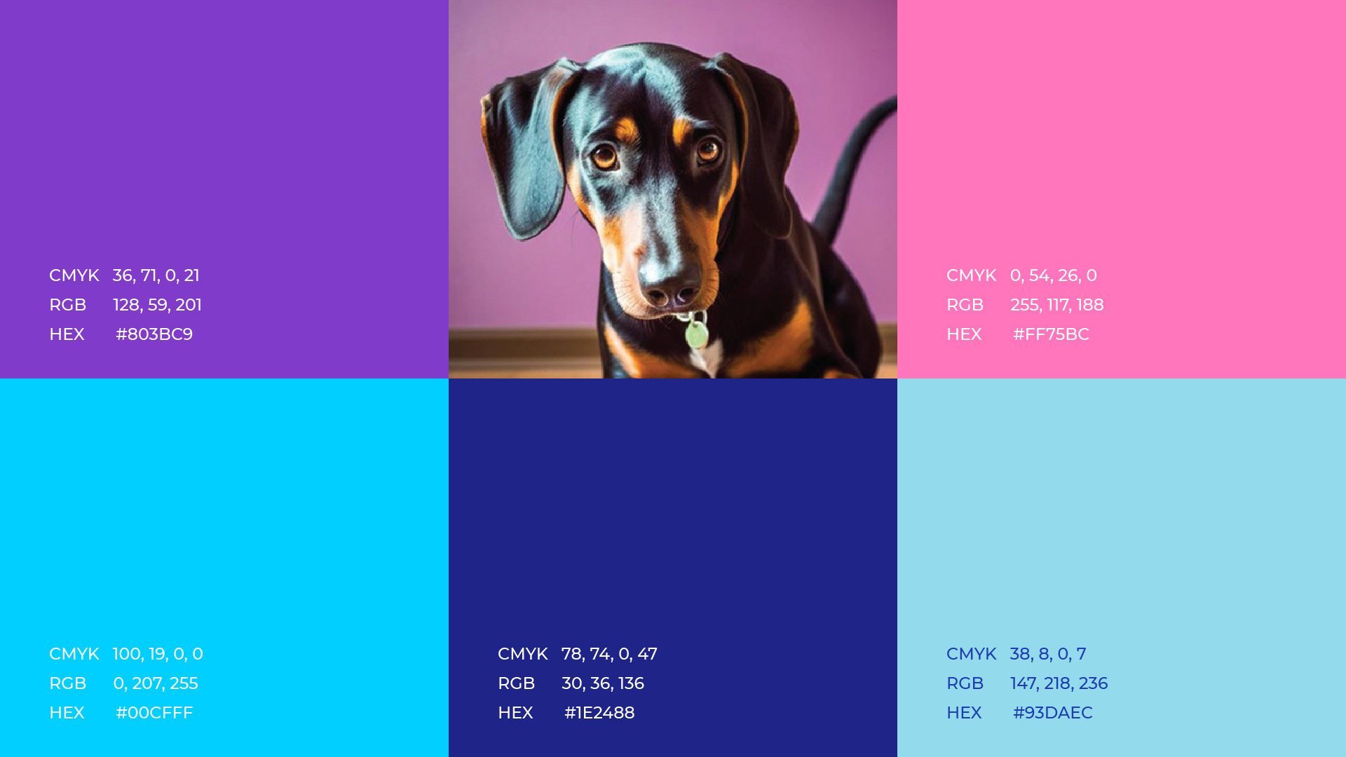 Colour tiles for purple, pink, cyan, navy and sky with a dachshund