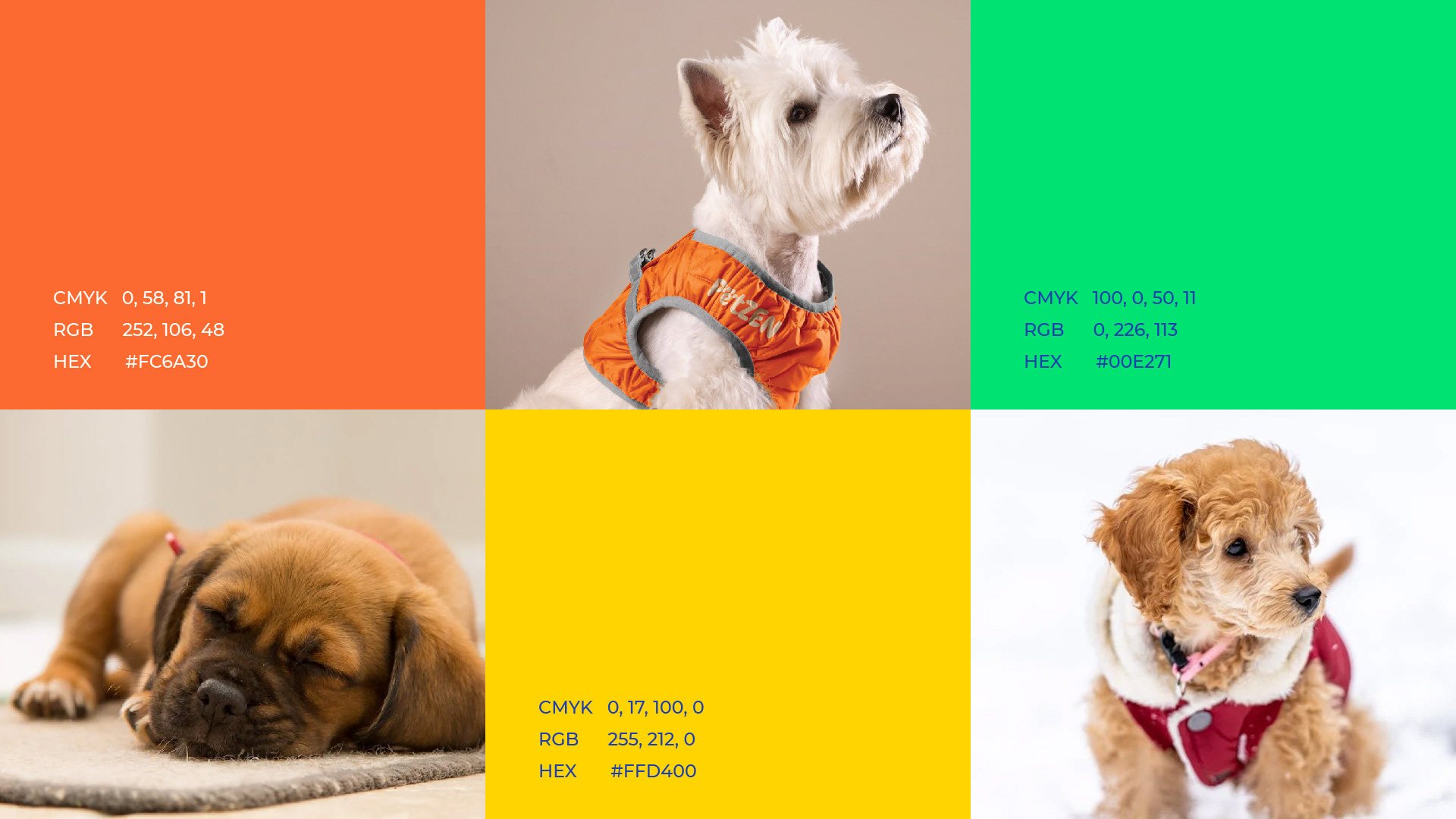 Colour tiles for orange, green and yellow with three puppies