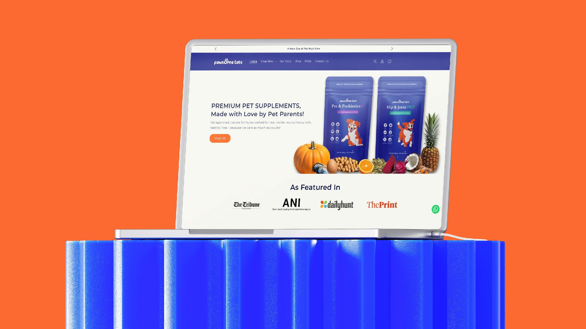 Website home page on a laptop against orange
