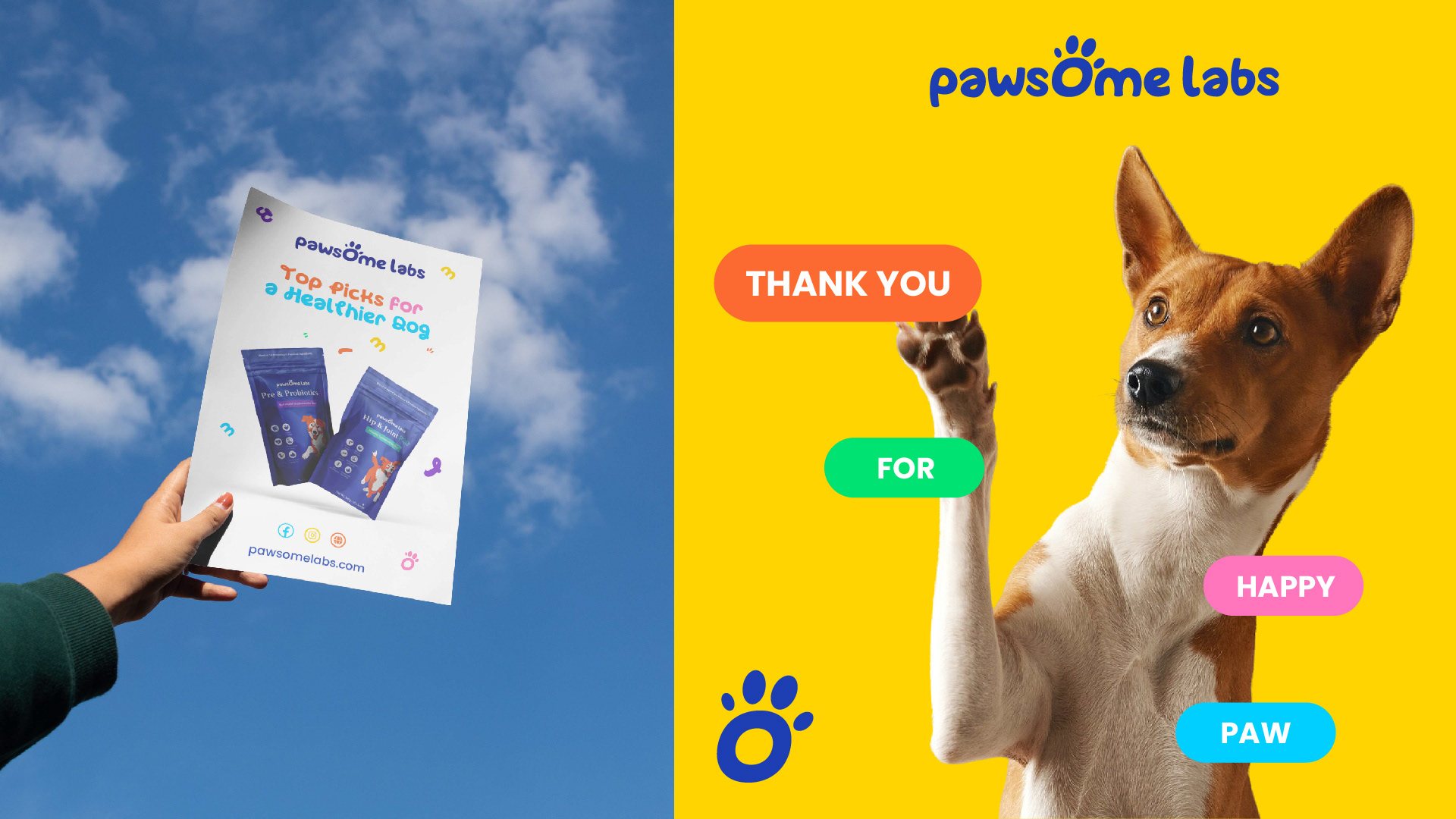 A flyer held up to the sky next to a dog raising its paw on yellow