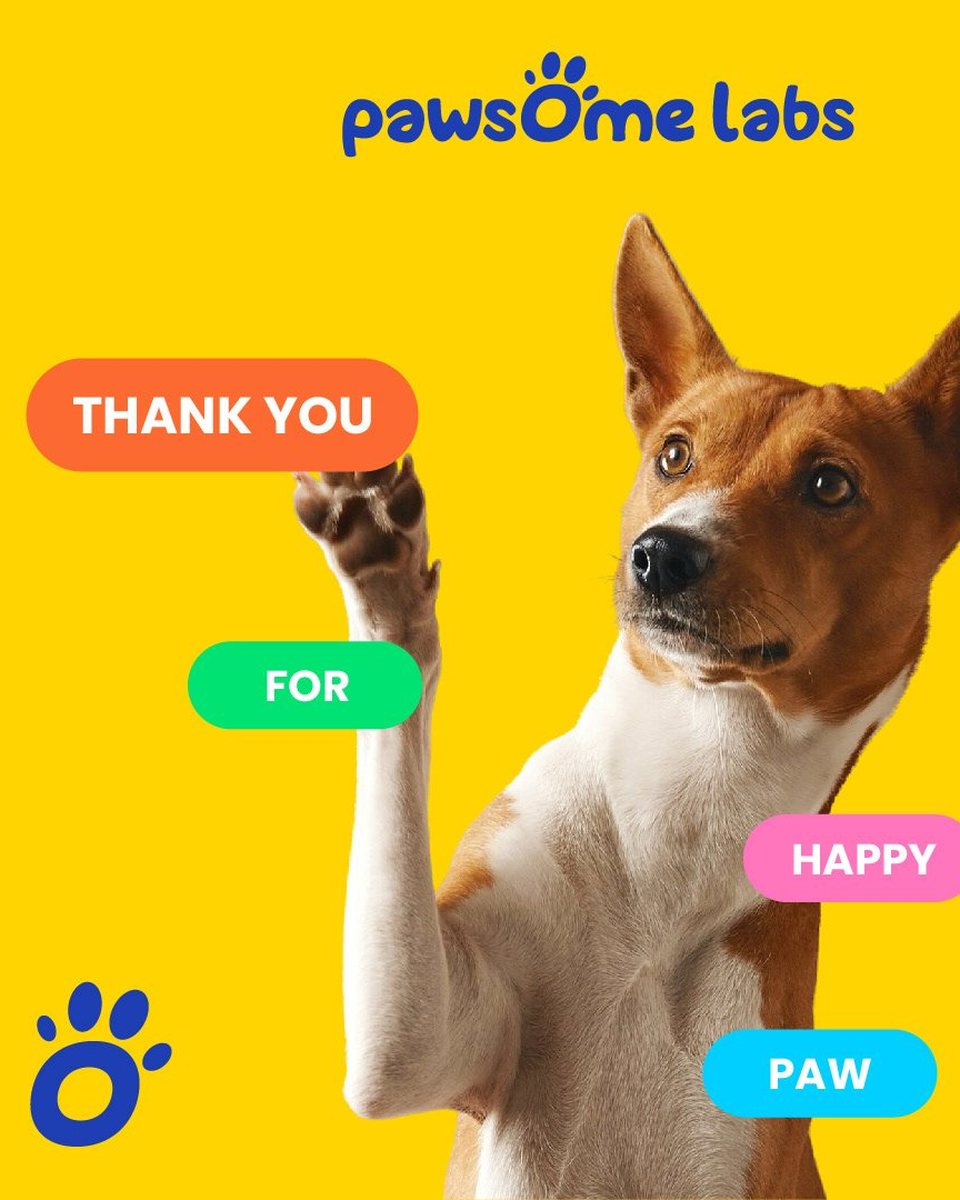 Pawsome Labs packaging