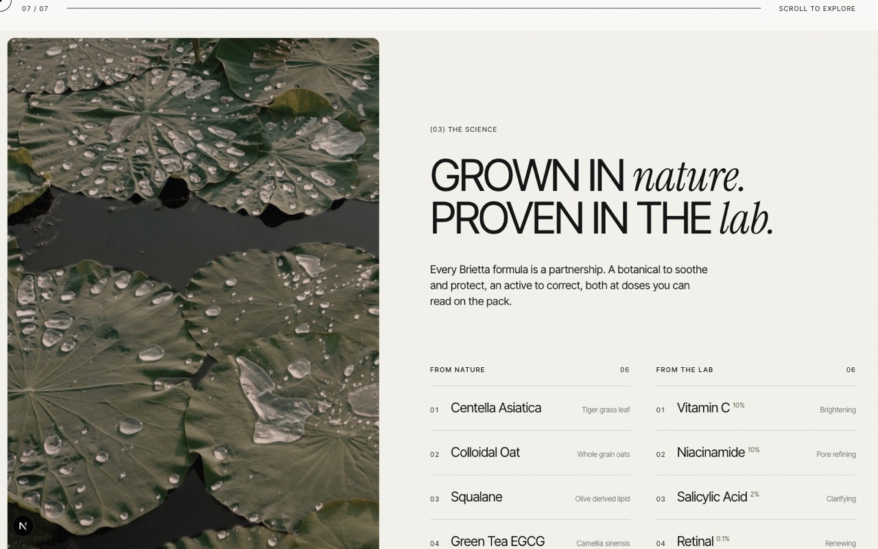 Brietta website by Dhaval V, screen 3