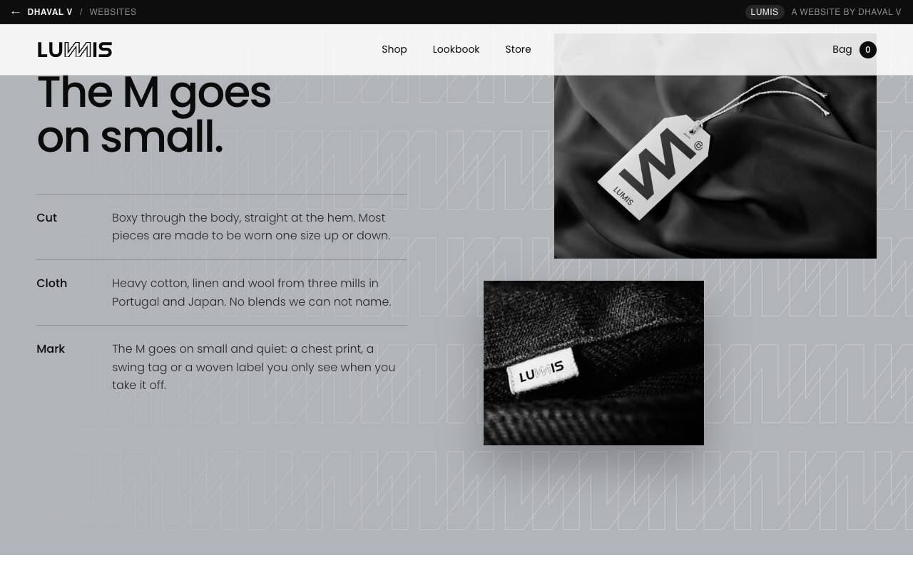 Lumis website by Dhaval V, screen 4
